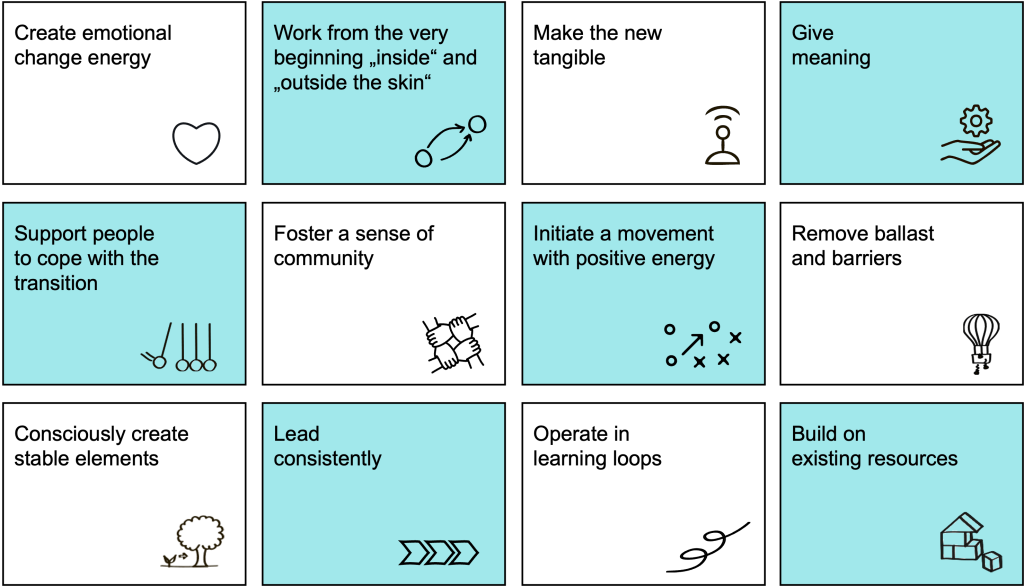 Infograhic of the 12 principles for effective change