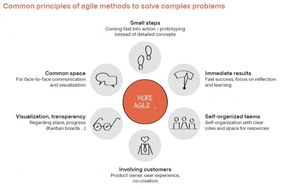 Common principles of agile methods to solve complex problems: Small steps, Immediate results, Self-organized teams, Involving customers, Visualization, transparency, Common space