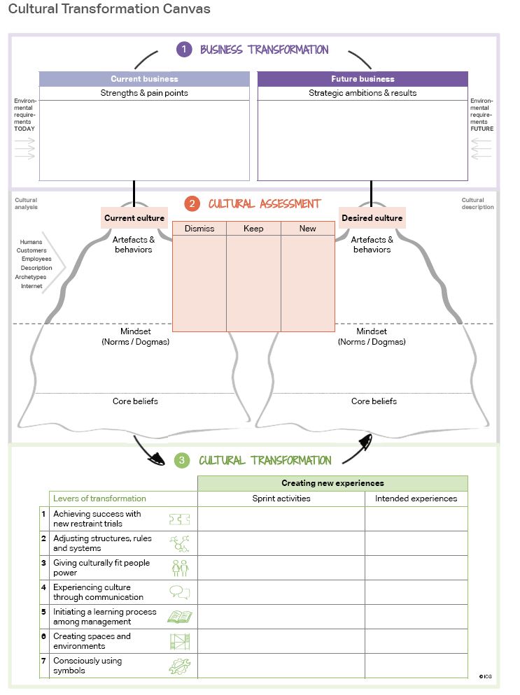 Cultural Transformation Canvas: Business transformation, Cultural Assessment, Cultural Transformation.