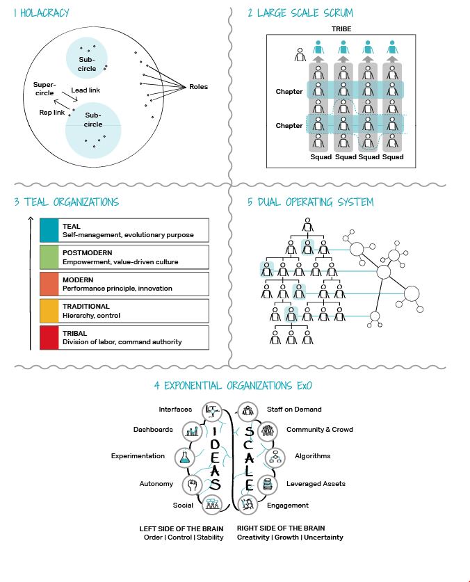 Five types of agile organizations: Holacracy, Large Scale Scrum, Teal Organizations, Exponential Organizations ExO, Dual Operating System