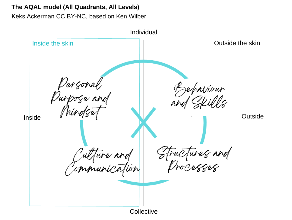 Graphical representation on axes of the All Quadrants / All Levels model