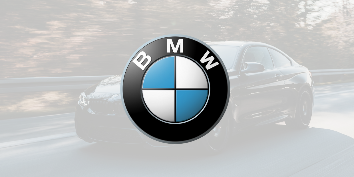 ICG Reference BMW