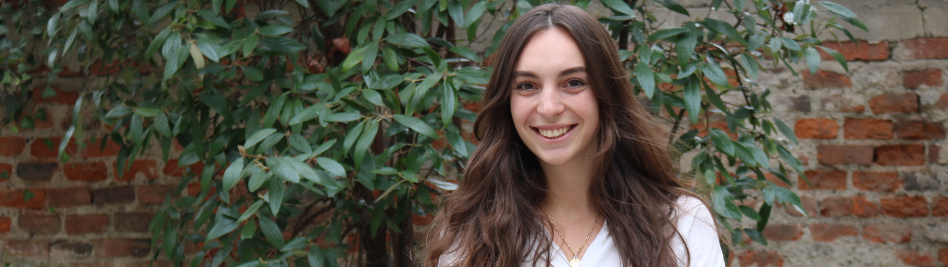 COM_header