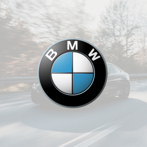 ICG Client Story BWM