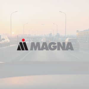 Client Story Magna