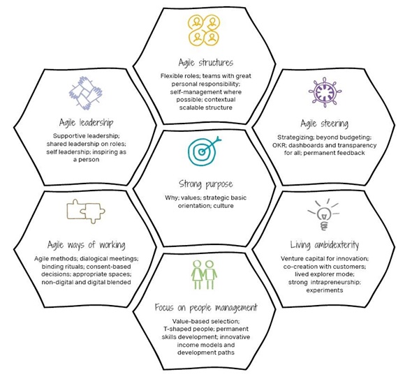 agility benefits
