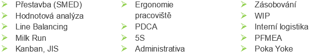 Možné oblasti workshopu: Přestavba (SMED), Hodnotová analýza, Line Balancing, Milk Run, Kanban, JIS, Ergonomie pracoviště, PDCA, 5S, Administrativa, Zásobování, WIP, Interní logistika, PFMEA, Poka Yoke