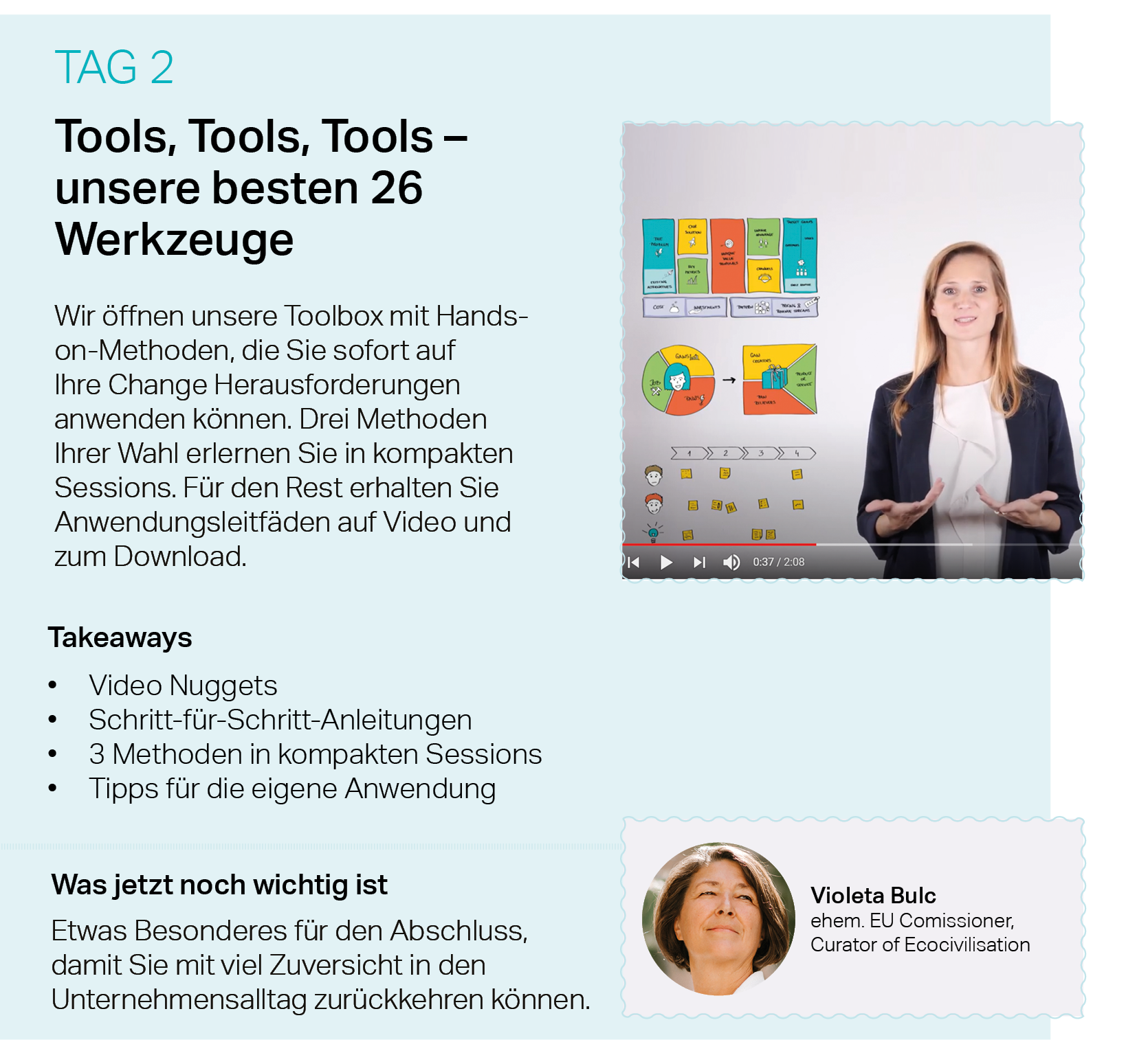 Tools, Change Management, Nuggets, Violeta Bulc