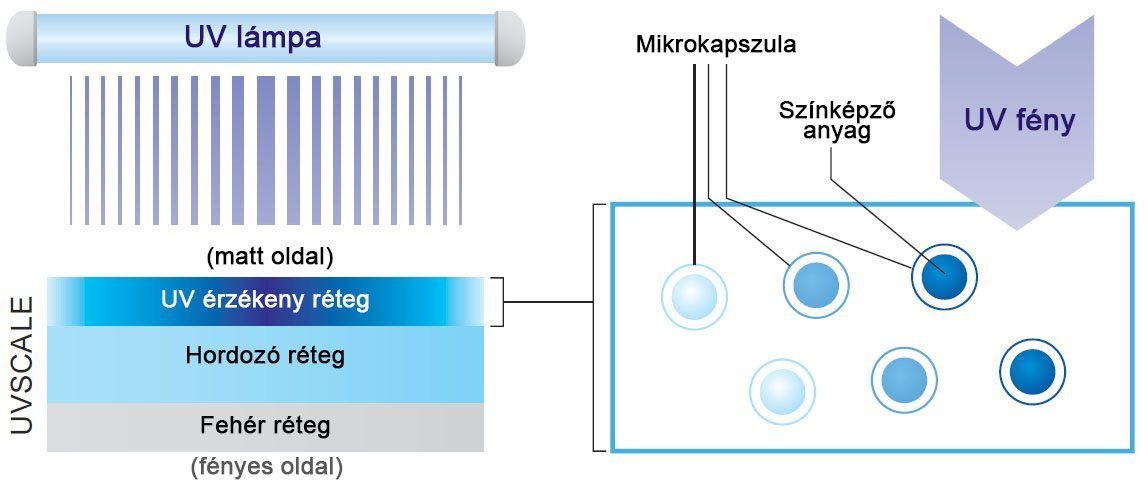 UVScale struktúra