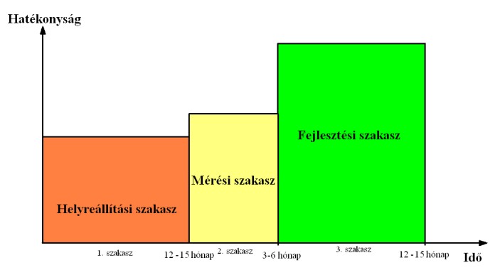 A TPM bevezetés főbb szakaszai